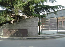 Art District