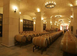 Storage Cellar
