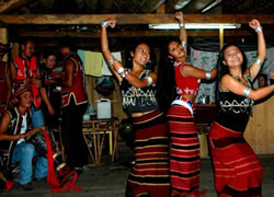 dancing of the Wa Nationality in Chinese Ethnic Cultural Park
