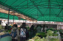 4 Days Beijing Best & Culinary Tour