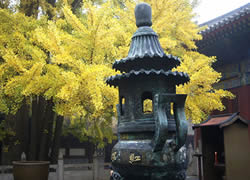 Hongluo Temple-2