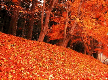 Hongluo Temple in Autumn