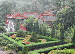 Juyong Green Layers 