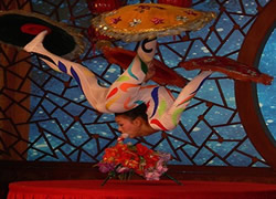Acrobatics Show-1