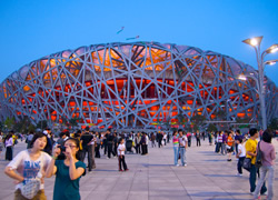 Bird's Nest at Night