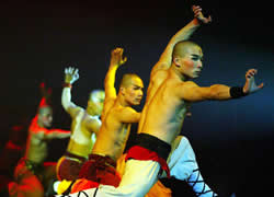 Beijing Kung Fu Night Show Tour