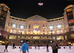 The Place