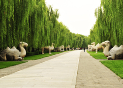 Sacred Road Beijing