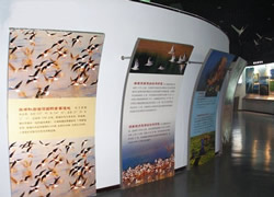 Wild Duck Lake Wetlands Museum