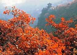 Xiangshan Park2