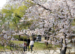 Yuyuantan Park Album