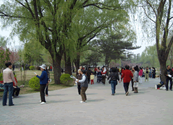Many Beijing locals come to do morning exercise in Yuyuantan Park. 
