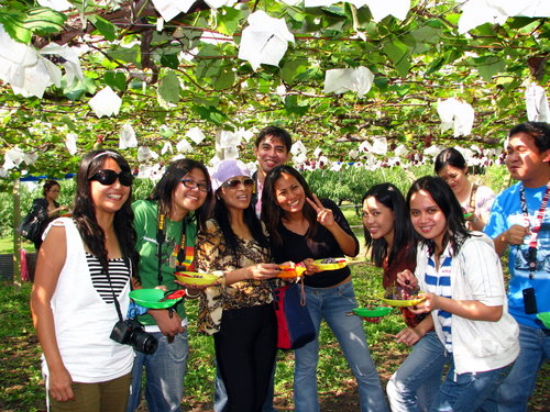 Grape Picking in Beijing 
