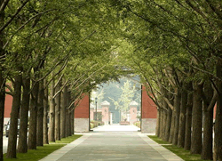 Hongluo Temple