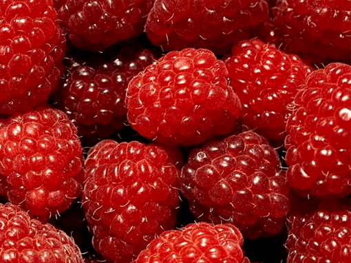 Picking Raspberry in Beijing