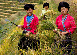 8 Days Beijing & Guilin Longsheng Indepth Tour