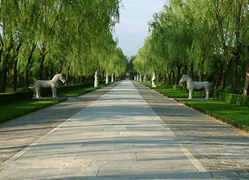 Sacred Way 