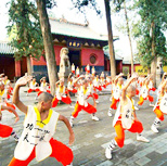 Beijing Luoyang Side Trip