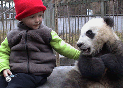 1 Day Beijing Trip for Family with Kids