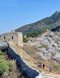 Wild Section of Great Wall