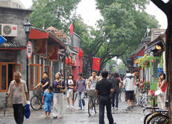 ride for sightseeing