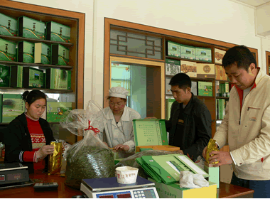 packing tea