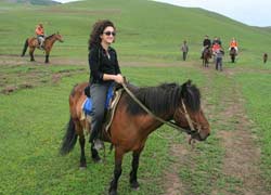 Kangxi Grassland Album