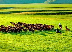 Mulan Weichang