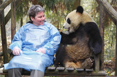 Ya’an Bifengxia Giant Panda Breeding Centre