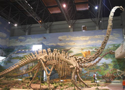 Zigong Dinosaur Museum