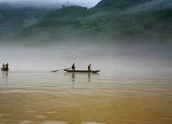 Shennong Stream1 