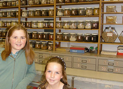 12 Days China Cultural Tour with Traditional Medicine Training