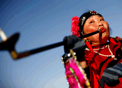 Chinese Spring Festival Celebration