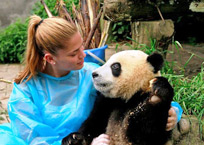 Giant Panda Tour