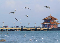 Qinhuangdao 