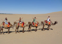 Silk Road