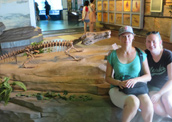 We are at Chengdu Sanxindui Museum.