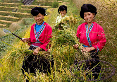 Miao Minority