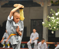 Luoyang & Chengdu Tours