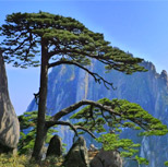 Beijing Huangshan Side Trip