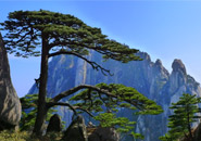 3 Days Beijing Huangshan Round Tour by High-speed Train ( overnight at downtown)