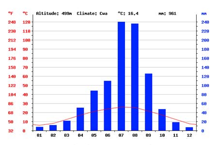 Chengdu Rainfall in A Year