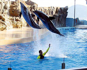 Hong Kong Ocean Park
