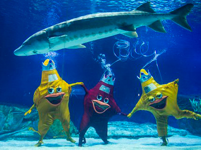 Hong Kong Ocean Park Aqua City
