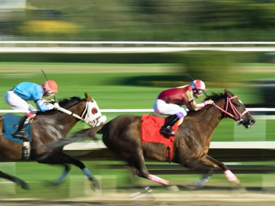 Hong Kong Horse Racing