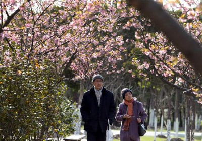 Shanghai's Elderly