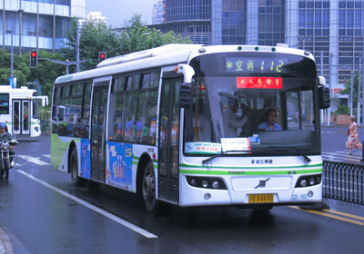 Public Buses