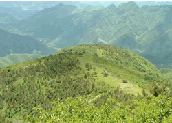 Yangtaishan