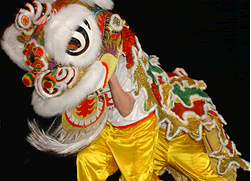Beijing Acrobatics Show