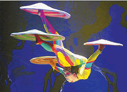Beijing Acrobatics Show